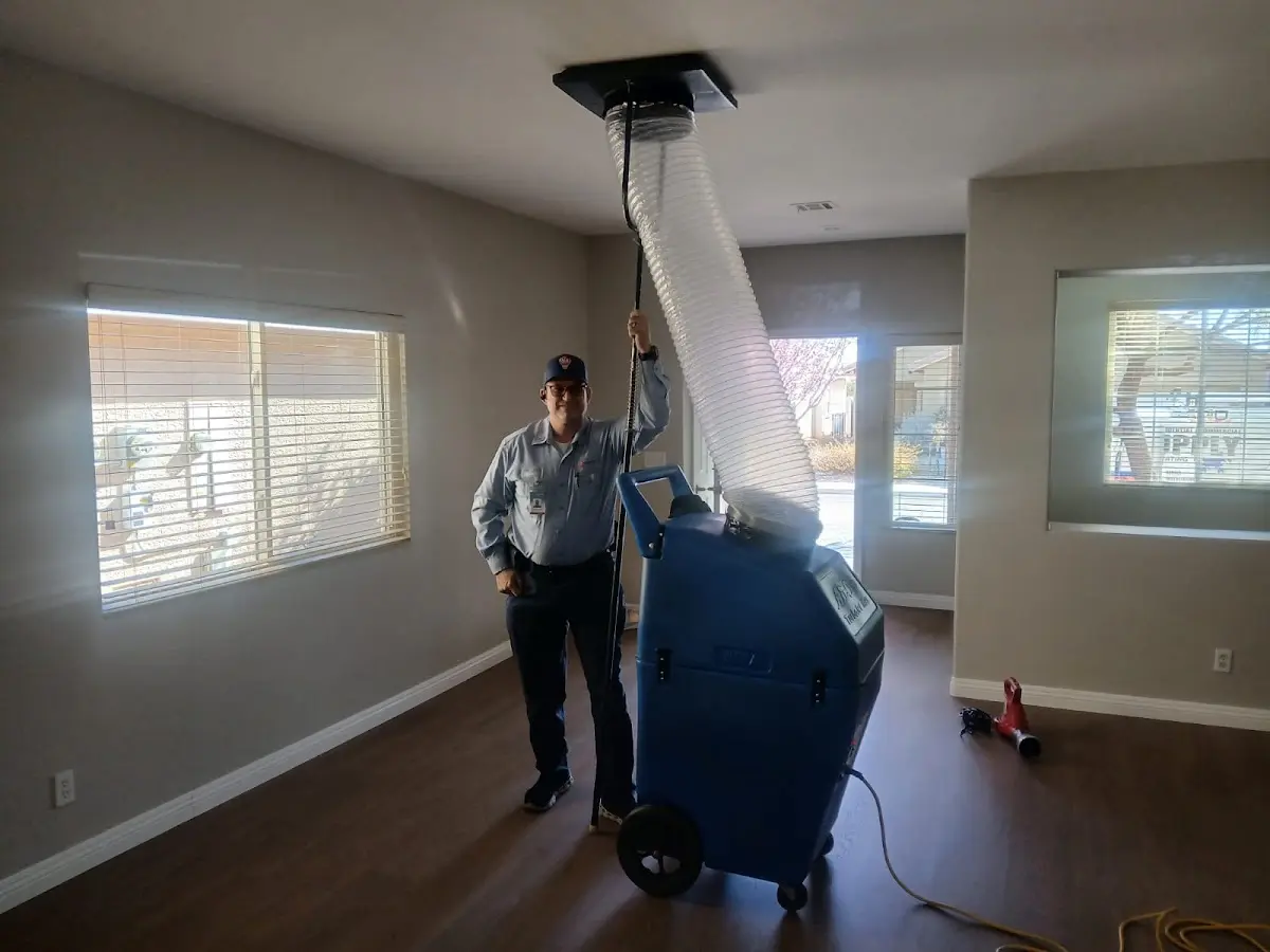 Professional Dryer Vent Cleaning work inside a Calumet Park home